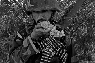 DVD-Tipp: Hauthah im Krieg dabei – KANDAHAR JOURNALS