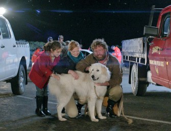 Blu-ray -Tipp: Oddball – Ein echtes Tierabenteuer