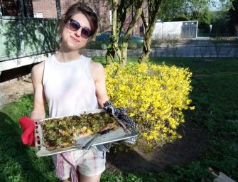 Kolumne -FELD&(A)EHRE-: Wann ist Pizza wirklich gesund?