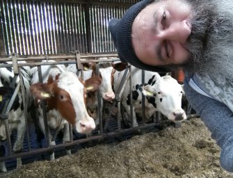 Tops und Flops des Jahres – SO (un)cool war mein 2018!