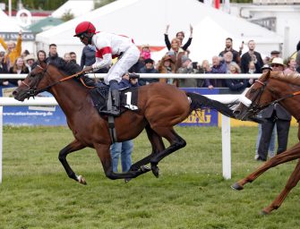 150. Derby: Favorit Laccario stürmt in Horn zum Sieg
