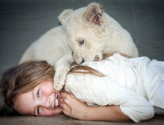 Blu-ray Tipp: MIA UND DER WEISSE LÖWE für das Heimkino