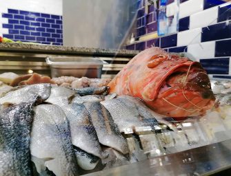 OCTOPUS – Erst Rausschmiss, dann Insta: „Mein Freund, komm doch bitte wieder…!“