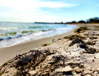 WELLENBRECHER – Einen Tag mit dem Rad an der Ostsee