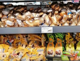 Wie riecht OSTERN eigentlich? Warum das „Eiersuchen“ so populär ist