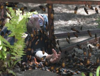 #IBES Dschungelcamp – FILIP holt den Titel DSCHUNGELKÖNIG