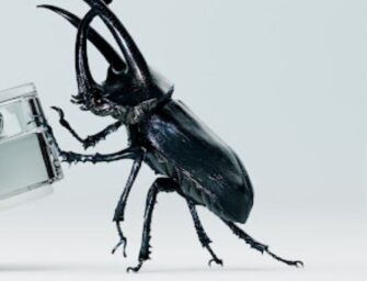 Nothing ear (2): Neue Kopfhörer im Video vorgestellt und bewertet