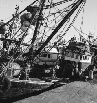 Der Hafen von Essaouira: Marokkos Fischer sind (nicht) gastfreundlich