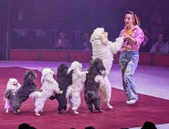 Zirkus Charles Knie in Hamburg: Wasser-Show mit neuen Maßstäben