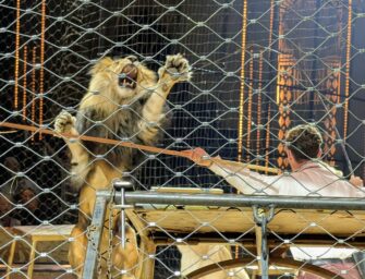 Circus Krone in Hamburg: Neue Show, die von Protesten gestört wurde