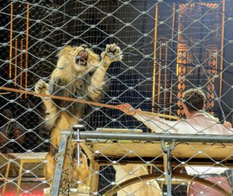 Circus Krone in Hamburg: Neue Show, die von Protesten gestört wurde